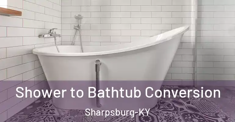inner Bathroom imggen Shower to Bathtub Conversion Sharpsburg-KY