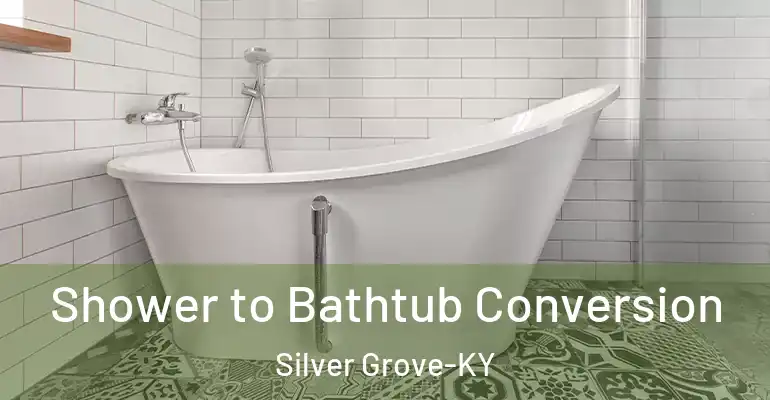 inner Bathroom imggen Shower to Bathtub Conversion Silver Grove-KY