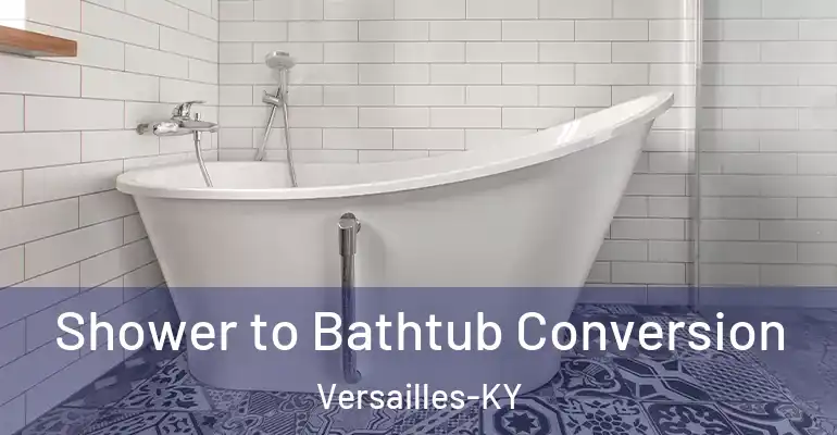 inner Bathroom imggen Shower to Bathtub Conversion Versailles-KY
