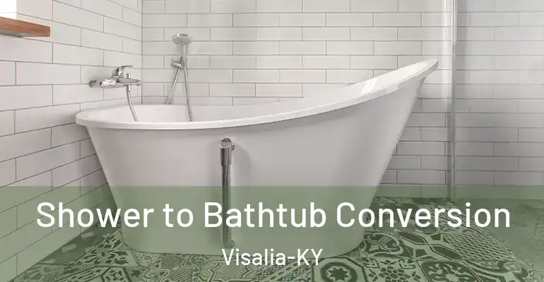 inner Bathroom imggen Shower to Bathtub Conversion Visalia-KY