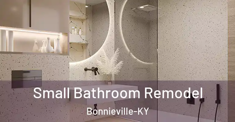 inner Bathroom imggen Small Bathroom Remodel Bonnieville-KY