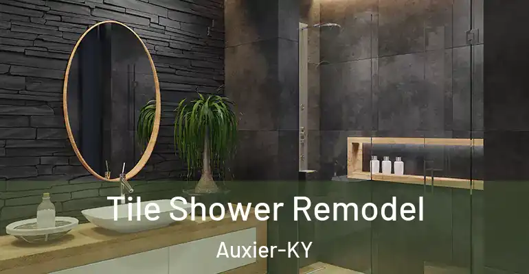 inner Bathroom imggen Tile Shower Remodel Auxier-KY