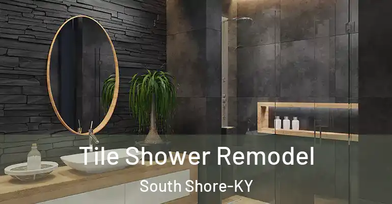 inner Bathroom imggen Tile Shower Remodel South Shore-KY