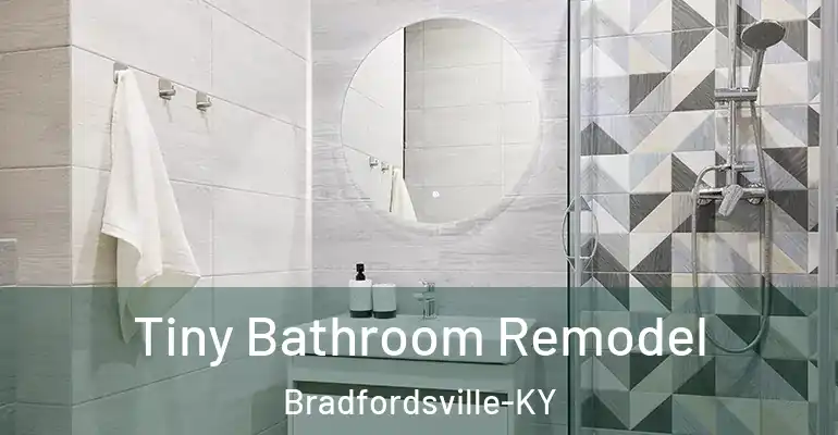 inner Bathroom imggen Tiny Bathroom Remodel Bradfordsville-KY
