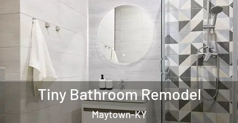 inner Bathroom imggen Tiny Bathroom Remodel Maytown-KY