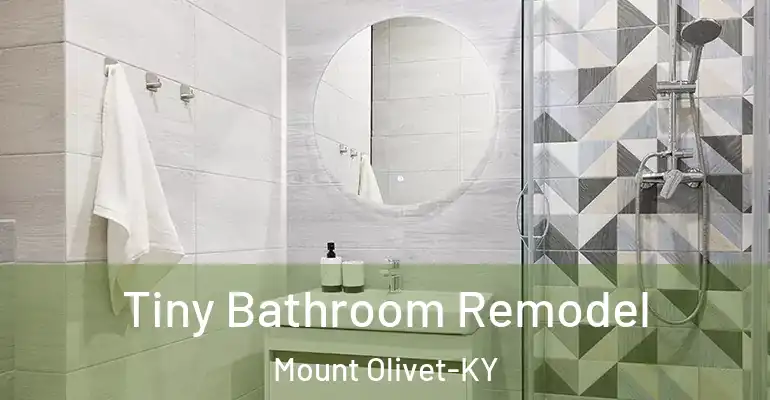 inner Bathroom imggen Tiny Bathroom Remodel Mount Olivet-KY
