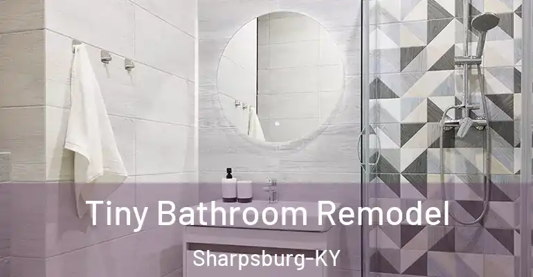 inner Bathroom imggen Tiny Bathroom Remodel Sharpsburg-KY