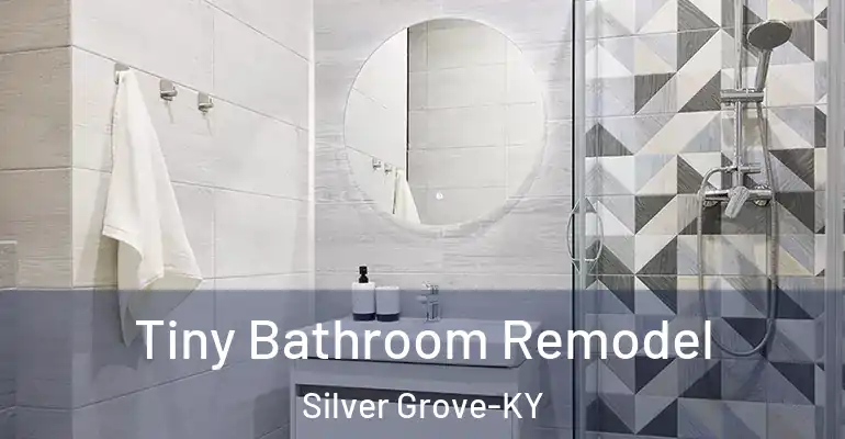 inner Bathroom imggen Tiny Bathroom Remodel Silver Grove-KY