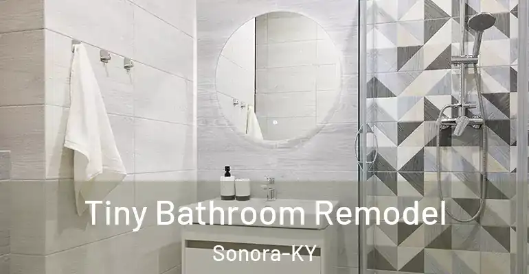 inner Bathroom imggen Tiny Bathroom Remodel Sonora-KY