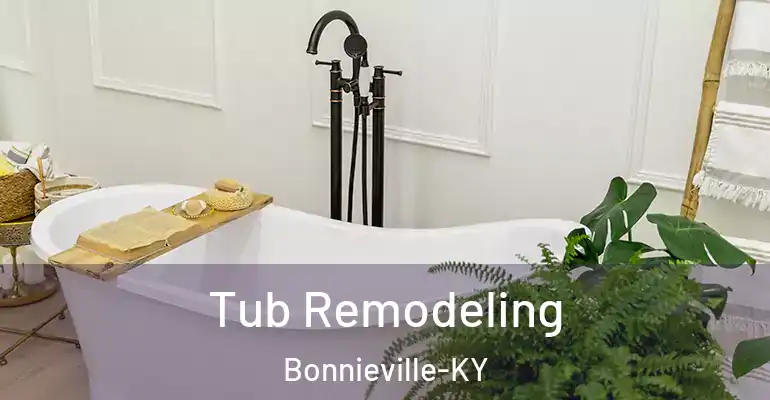 inner Bathroom imggen Tub Remodeling Bonnieville-KY
