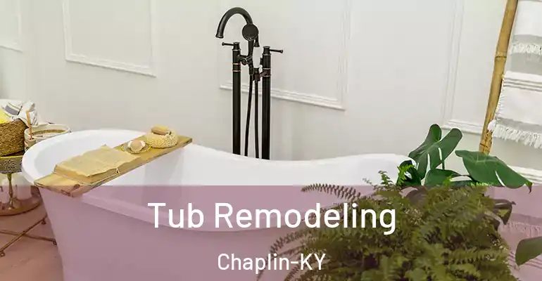 inner Bathroom imggen Tub Remodeling Chaplin-KY