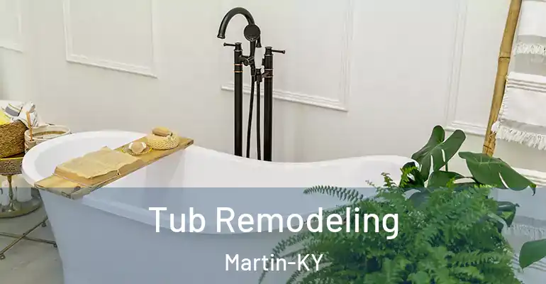 inner Bathroom imggen Tub Remodeling Martin-KY
