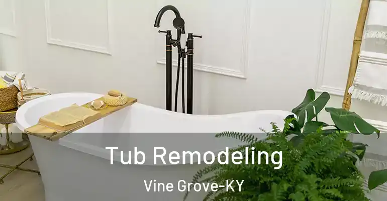 inner Bathroom imggen Tub Remodeling Vine Grove-KY