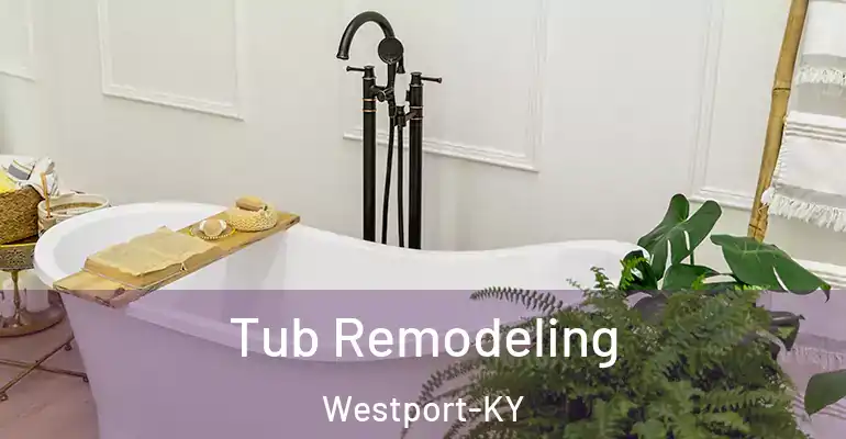 inner Bathroom imggen Tub Remodeling Westport-KY