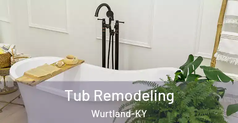 inner Bathroom imggen Tub Remodeling Wurtland-KY