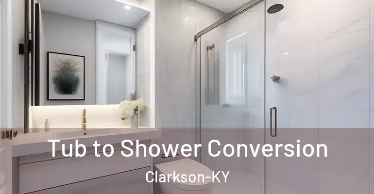inner Bathroom imggen Tub to Shower Conversion Clarkson-KY
