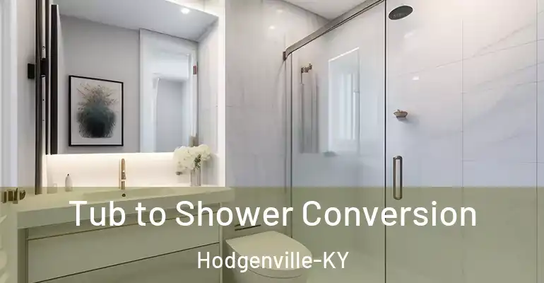 inner Bathroom imggen Tub to Shower Conversion Hodgenville-KY