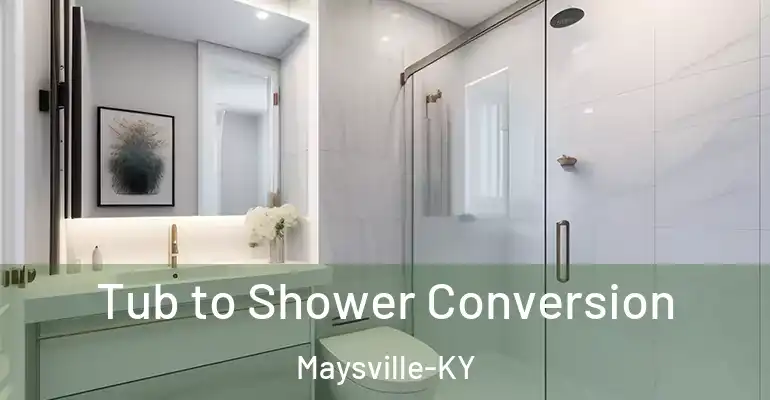 inner Bathroom imggen Tub to Shower Conversion Maysville-KY