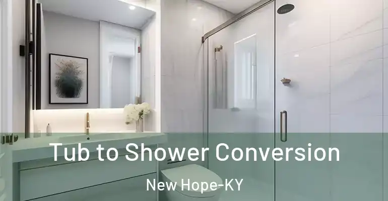 inner Bathroom imggen Tub to Shower Conversion New Hope-KY