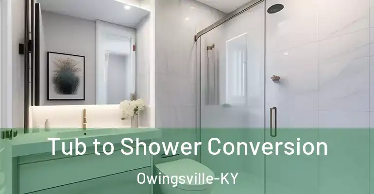 inner Bathroom imggen Tub to Shower Conversion Owingsville-KY