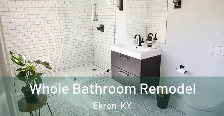 inner Bathroom imggen Whole Bathroom Remodel Ekron-KY