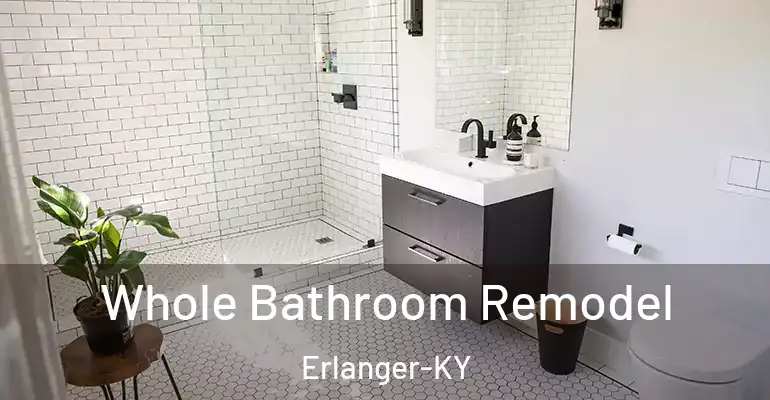 inner Bathroom imggen Whole Bathroom Remodel Erlanger-KY