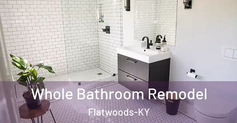 inner Bathroom imggen Whole Bathroom Remodel Flatwoods-KY