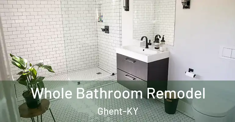 inner Bathroom imggen Whole Bathroom Remodel Ghent-KY