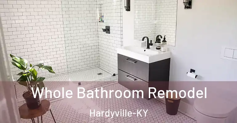 inner Bathroom imggen Whole Bathroom Remodel Hardyville-KY