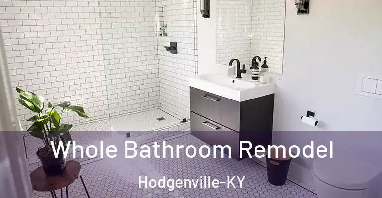 inner Bathroom imggen Whole Bathroom Remodel Hodgenville-KY