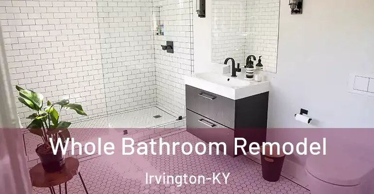 inner Bathroom imggen Whole Bathroom Remodel Irvington-KY