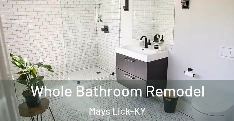 inner Bathroom imggen Whole Bathroom Remodel Mays Lick-KY