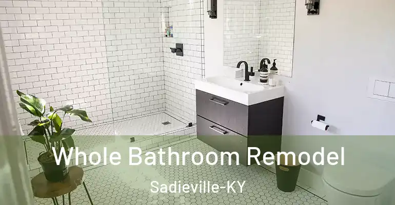 inner Bathroom imggen Whole Bathroom Remodel Sadieville-KY