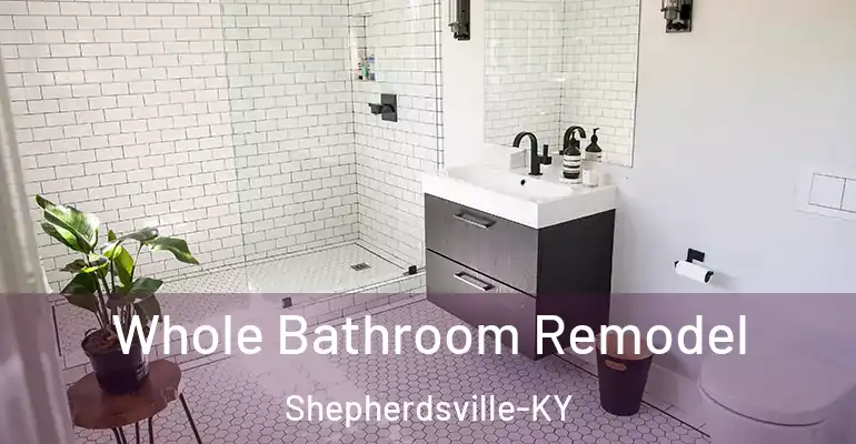 inner Bathroom imggen Whole Bathroom Remodel Shepherdsville-KY