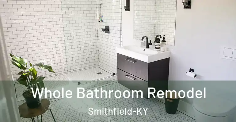 inner Bathroom imggen Whole Bathroom Remodel Smithfield-KY