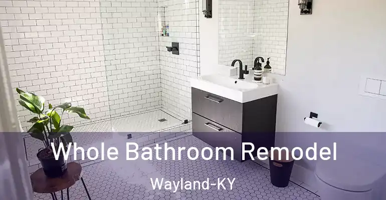 inner Bathroom imggen Whole Bathroom Remodel Wayland-KY