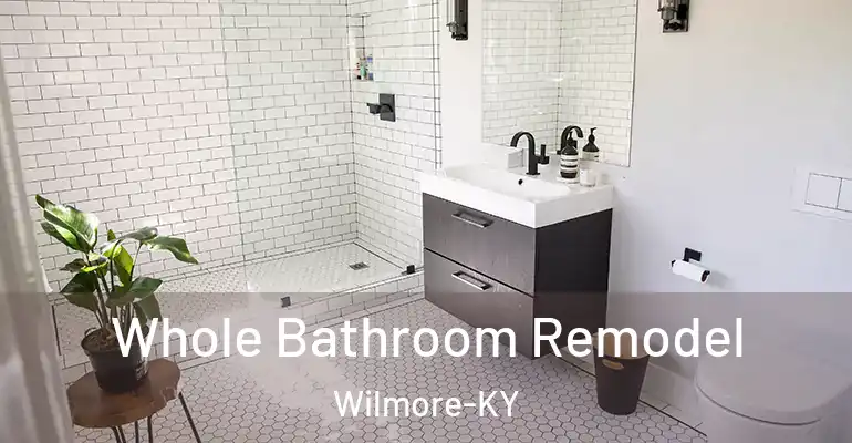 inner Bathroom imggen Whole Bathroom Remodel Wilmore-KY